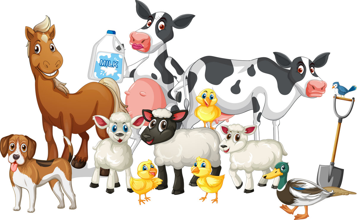 Farm Animals on White Background